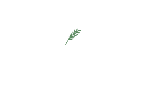 Wild Paths Festival