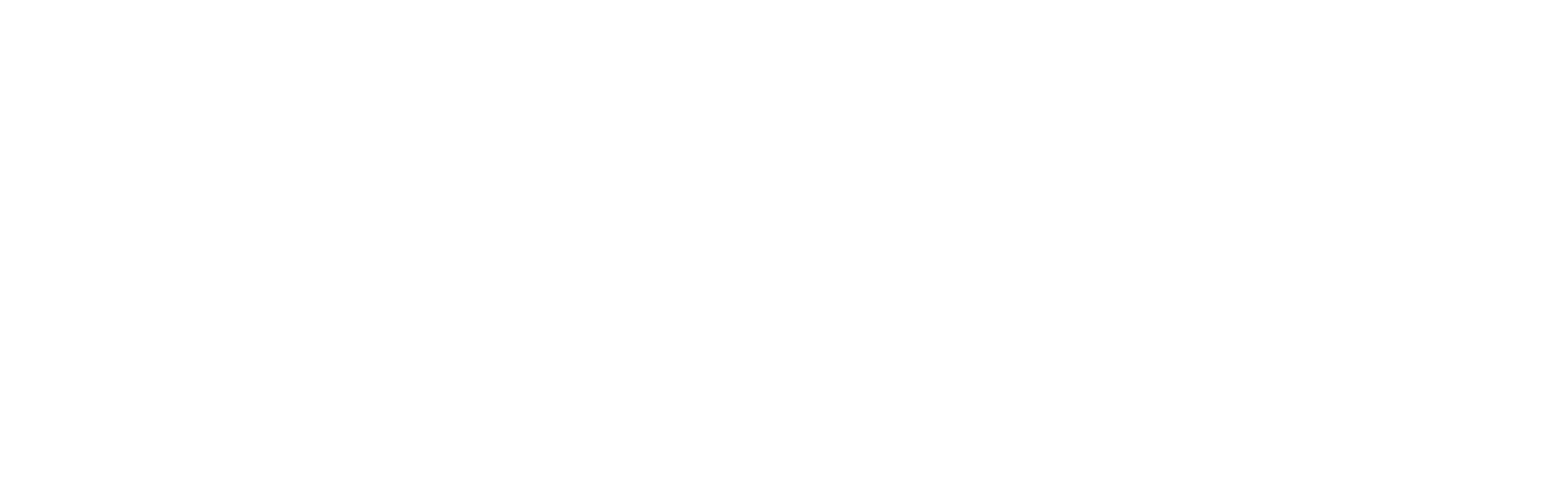 A white logo for Pirate Studios