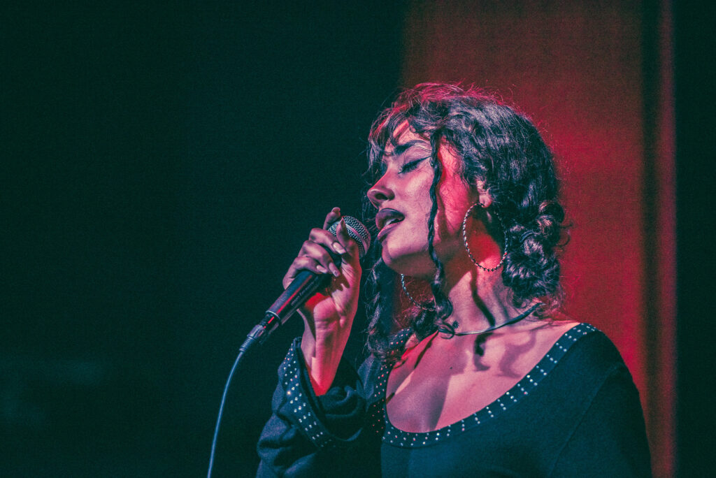 Music artist singing on stage
