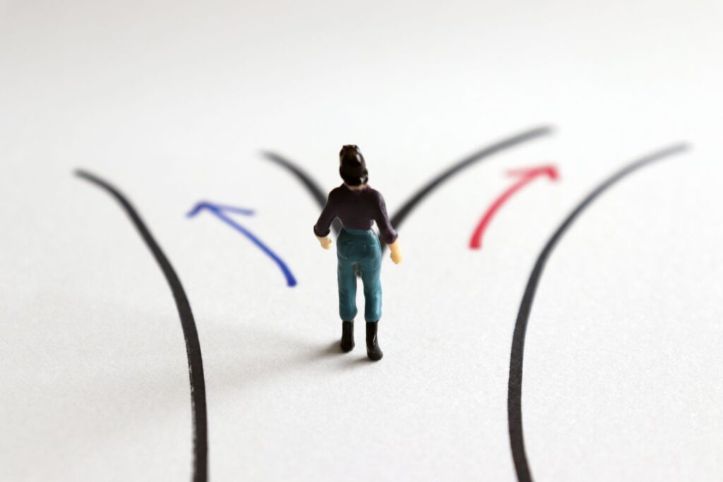 Web Developers vs Software Developers: What’s the difference in 2025? 5 Choosing a path